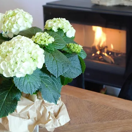 Semesterbostad Aux Aguesses Buissonnieres *